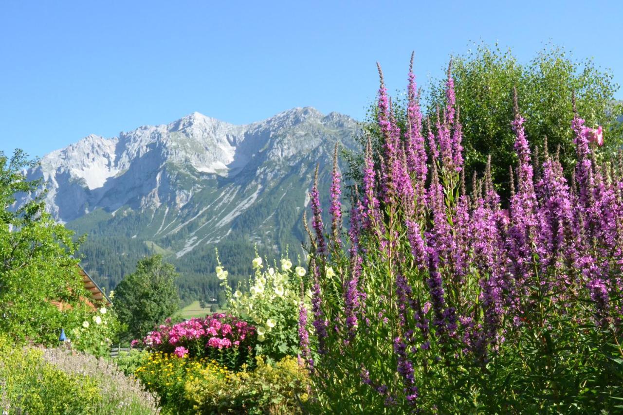 Pension Moslehnerhof Ramsau am Dachstein Exterior photo