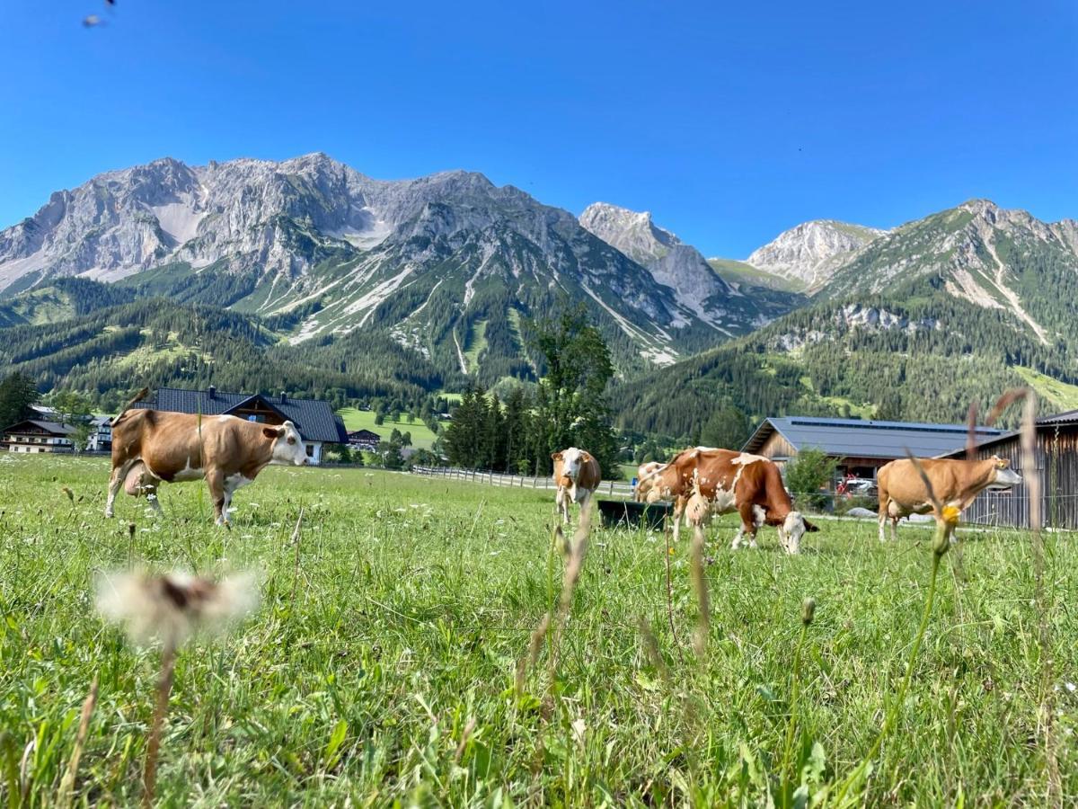 Pension Moslehnerhof Ramsau am Dachstein Exterior photo